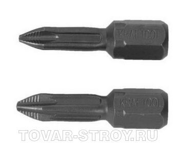 Стальная торсионная кованная обточенная бита KRAFTOOL "ЕХPERT" 26121-1-25-2 (РН 1, 25 мм, 2 шт)