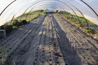 Спанбонд 40 г/м2, 1,6 х 500 м (черный)