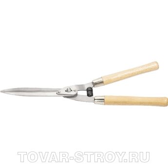 , 520 .,  ,   PALISAD