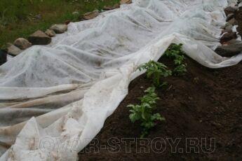 Спанбонд 40 г/м2, 3,2 х 200 м (белый)