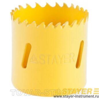   STAYER PROFI 29547-038 / 38 