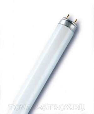 Лампа OSRAM L36W/765 дневного света