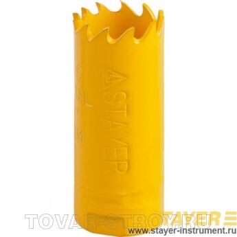   STAYER PROFI 29547-022 / 22 