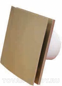 Silent 100 CZ Design shampagne - 4�