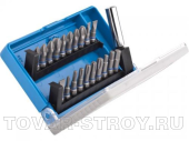 Набор бит ЗУБР ПРОФИ (26091-Н21) 21 предмета